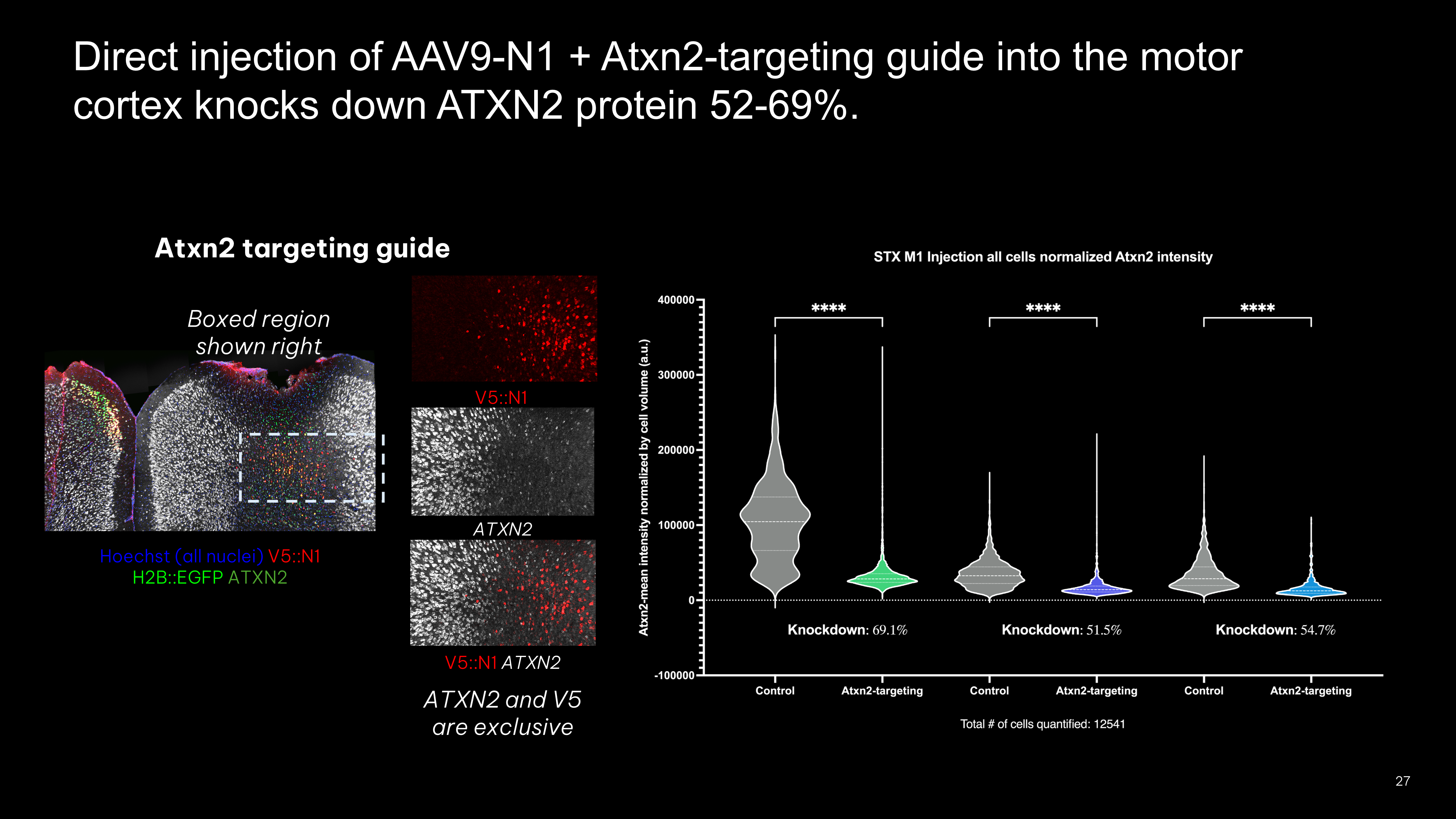 Dual injection coronal