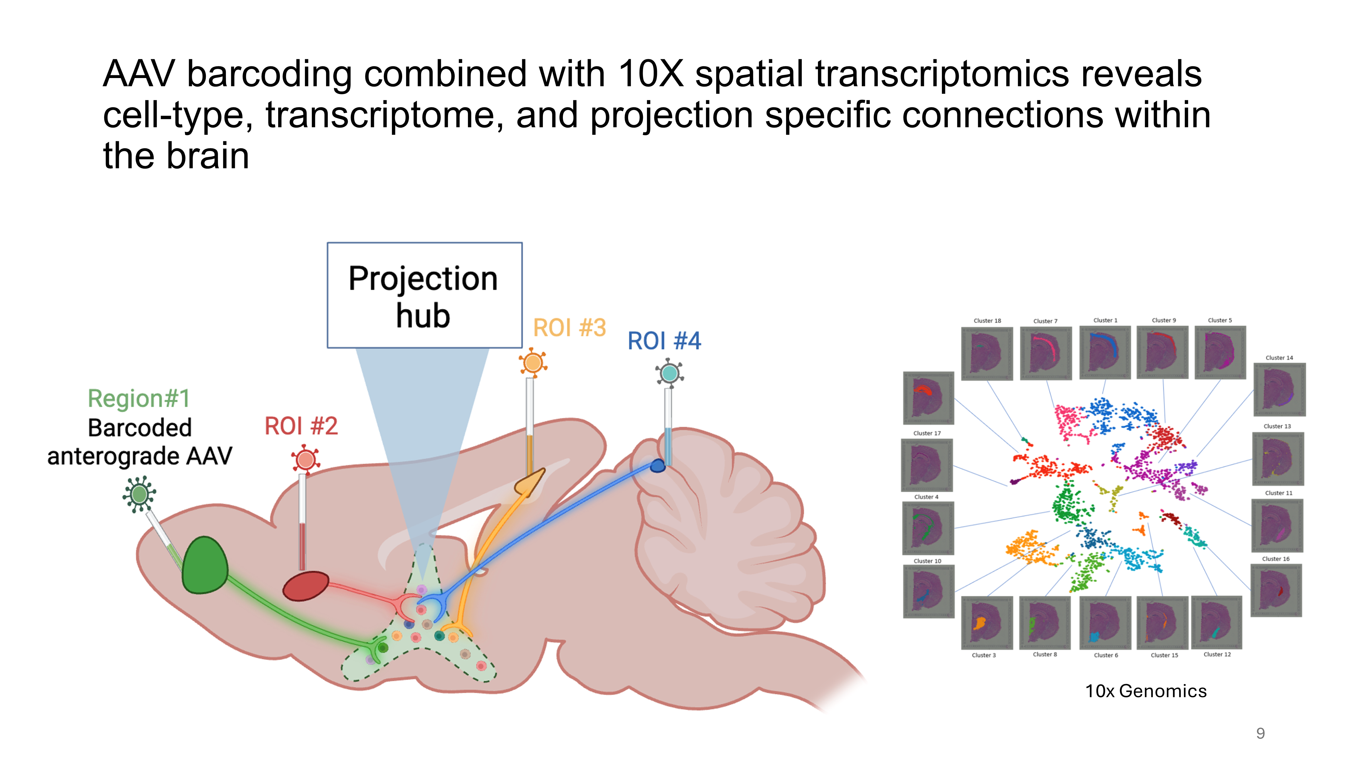 Spatial transcriptomics analysis 2